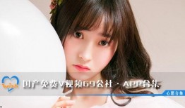 69国产在线播放,揭秘国内热门影视资源平台