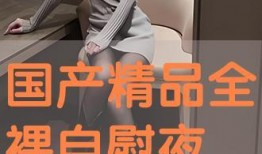 国产porn在线,揭秘国内成人影视产业的崛起与挑战