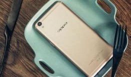 热e国产,探寻能源变革中的绿色奇迹