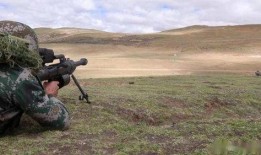 国产步兵区,探索中国现代步兵战术与装备发展之路