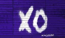 国产xoxo,探索中国原创潮流文化的新篇章