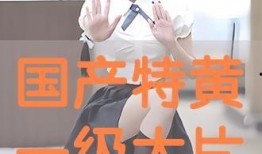 国产特黄大片,揭秘特黄大片背后的故事与影响