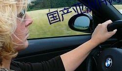 国产在线h,探索国产h的无限魅力