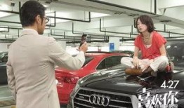 国产a国产片,探索国产电影的辉煌历程与未来展望