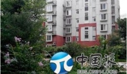 国产综合社区,打造多元化互动平台，引领网络文化新潮流