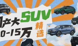 精选国产,精选国产生态的崛起与未来展望