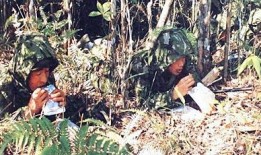 国产野战精品,铸就军魂，捍卫和平的利器之光