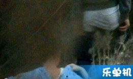 国产野战直播,揭秘现代军事训练的真实面貌